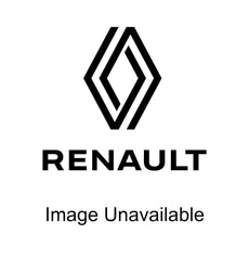 1 kg fire extinguisher - Europe - Renault Arkana